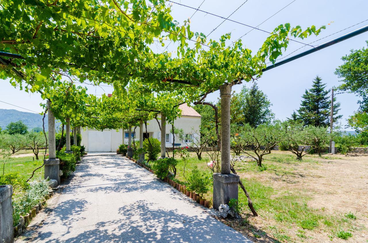 Holiday Home Field Of Olives Gruda Zewnętrze zdjęcie