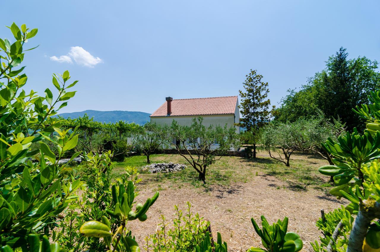 Holiday Home Field Of Olives Gruda Zewnętrze zdjęcie