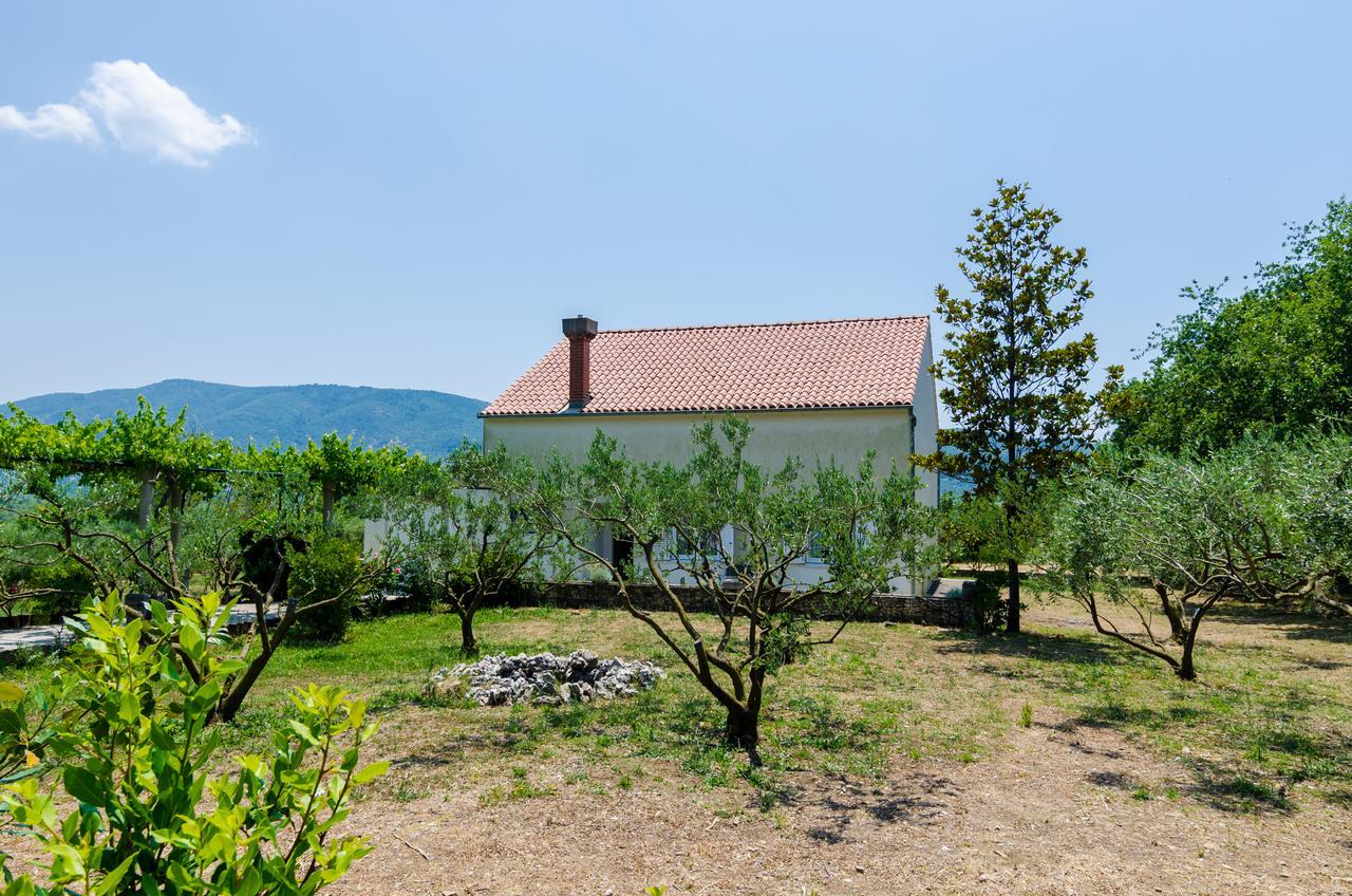 Holiday Home Field Of Olives Gruda Zewnętrze zdjęcie